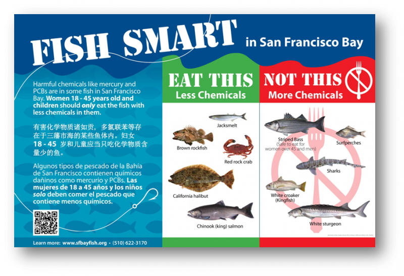 FISH SMART SIGN.png